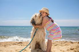 SPECIALE VACANZA PET IN TUTTA LIBERTA'